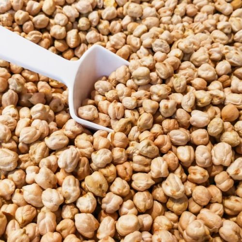 Closeup of chickpeas or also known as kacang kuda in Malaysia